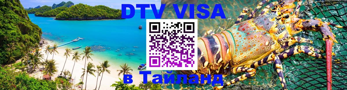 Оформление DTV визы под ключ: стоимость и тарифы, только загранпаспорт - 